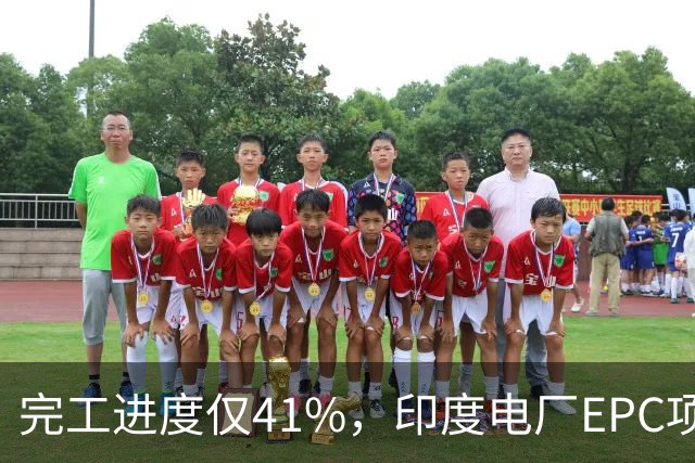 完工进度仅41%,印度电厂EPC项目起争议,清新环境称遭业主终止合同,发起近40亿卢比仲裁索赔